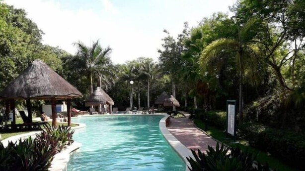 A swimming pool surrounded by lush greenery and thatched-roof structures.