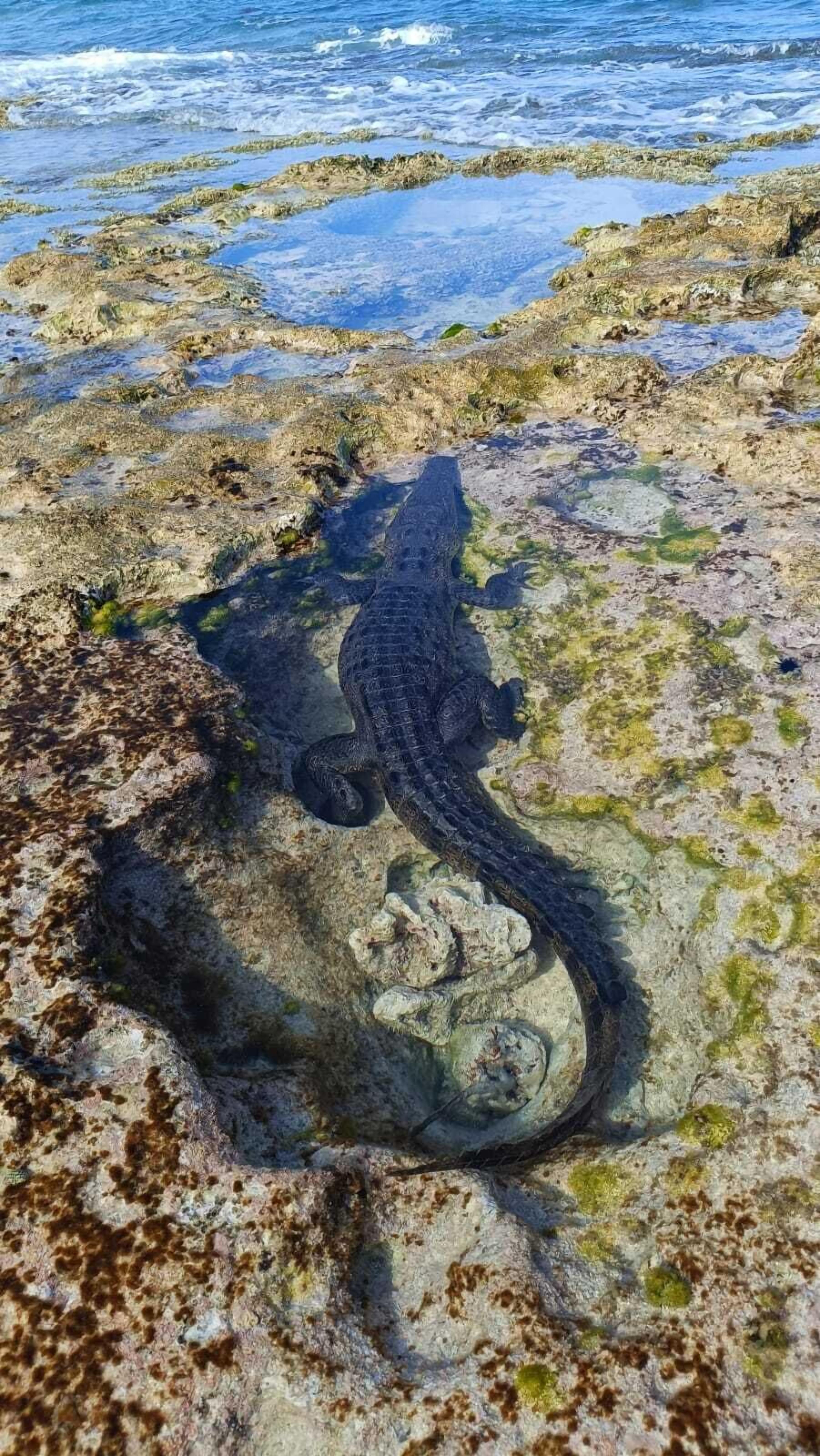 Photo - Hostal Cuca Macuca