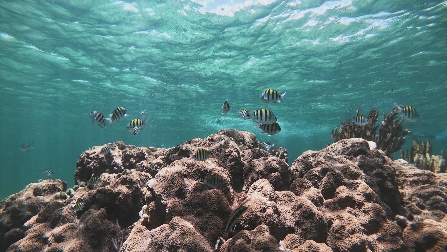 Photo - Hostal Cuca Macuca