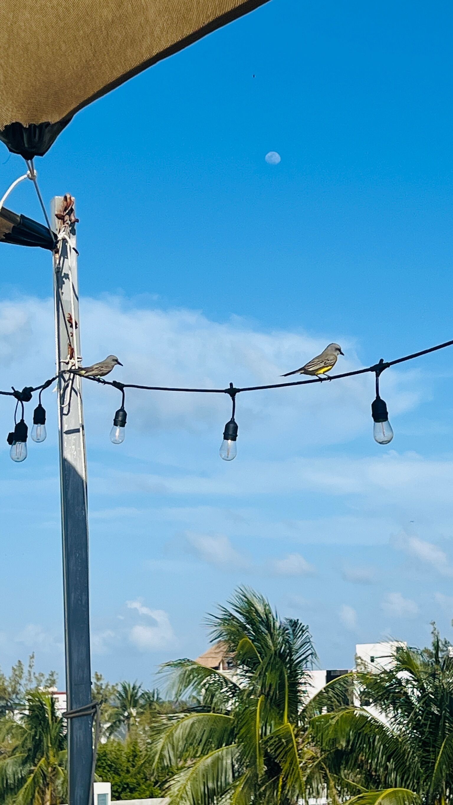 Photo - Hostal Cuca Macuca