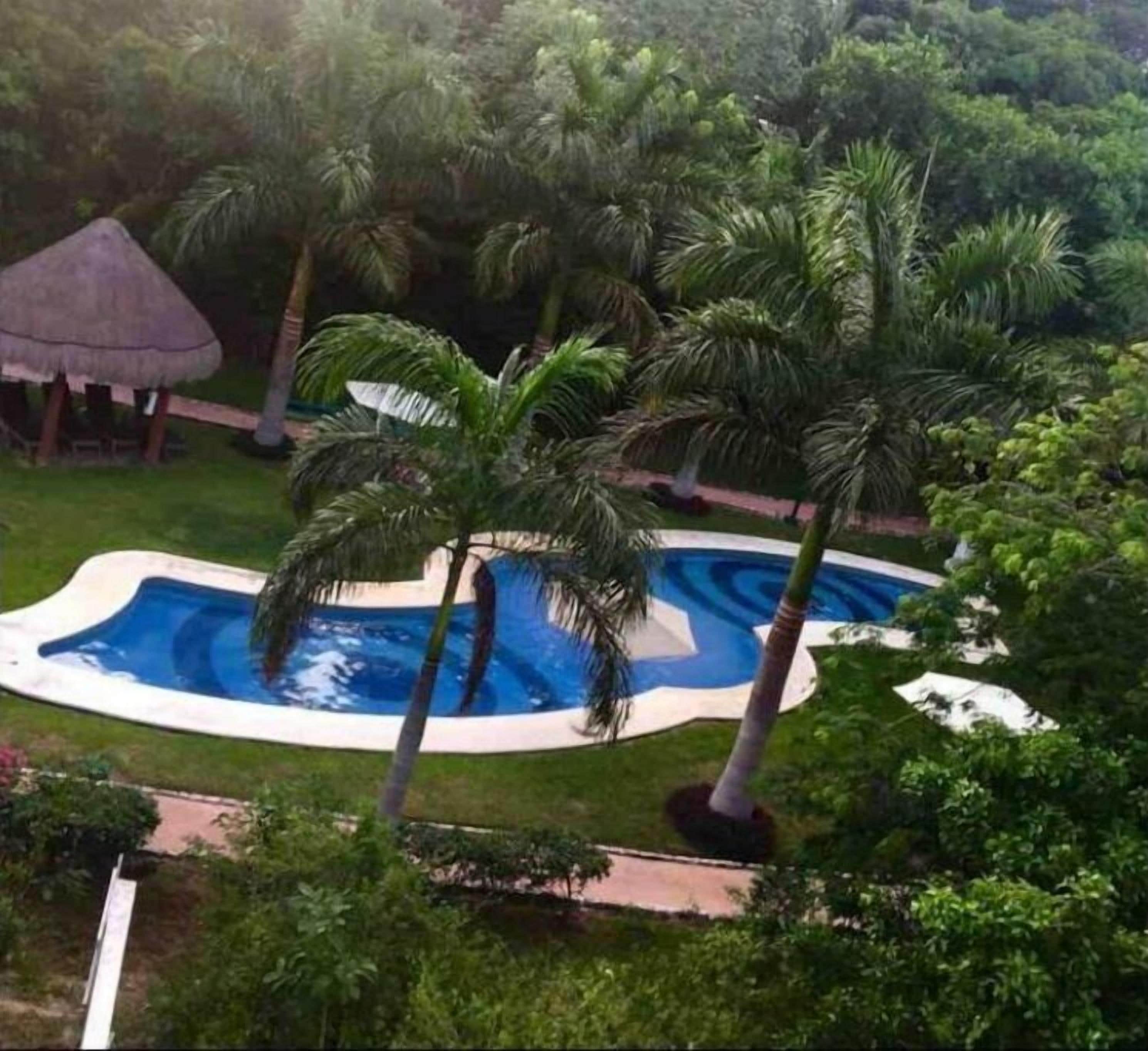 A swimming pool surrounded by palm trees and a thatched-roof structure.