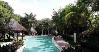 Cozy Private Apartment 2B Puerto M
