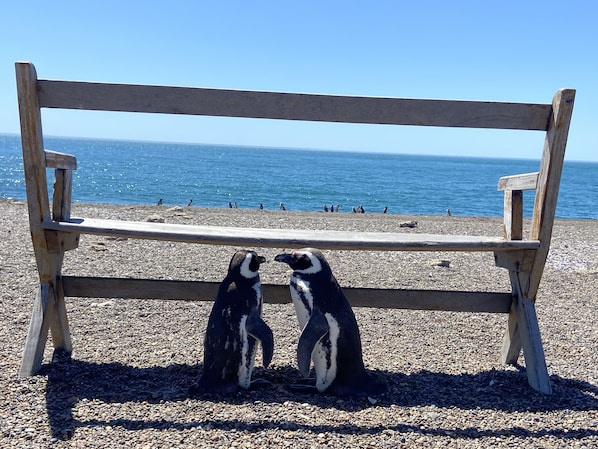 Spiaggia
