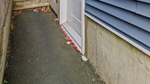 A narrow pathway leading to a house with a white door and a small window. A wooden fence and steps are visible on the left side.