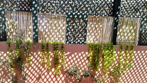 Terrace/patio - Riad Green Lotus  (Marrakech)