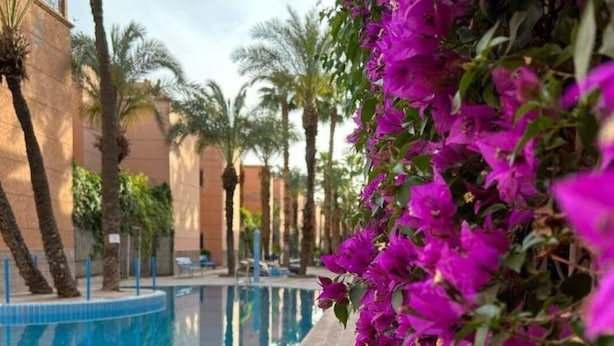 Outdoor pool - Riad Green Lotus  (Marrakech)