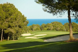 Golfe