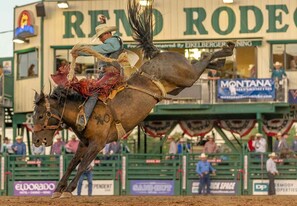 A rodeo event with a rider on a bucking horse. - Stylish Sleek 4BR Nevada Home Near Downtown Reno (Sparks)