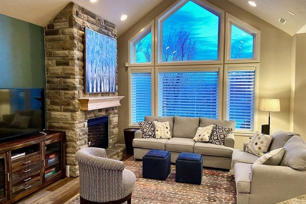 Smart TV, fireplace, DVD player, books