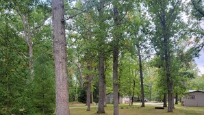 Una zona residenziale con diversi alberi e un prato erboso.