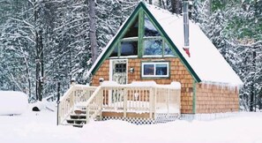 Exterior - Eagles Nest A-frame: Riverfront Cabin: Add-on Treehouse Bedroom, Pet Friendly! (Indian River)