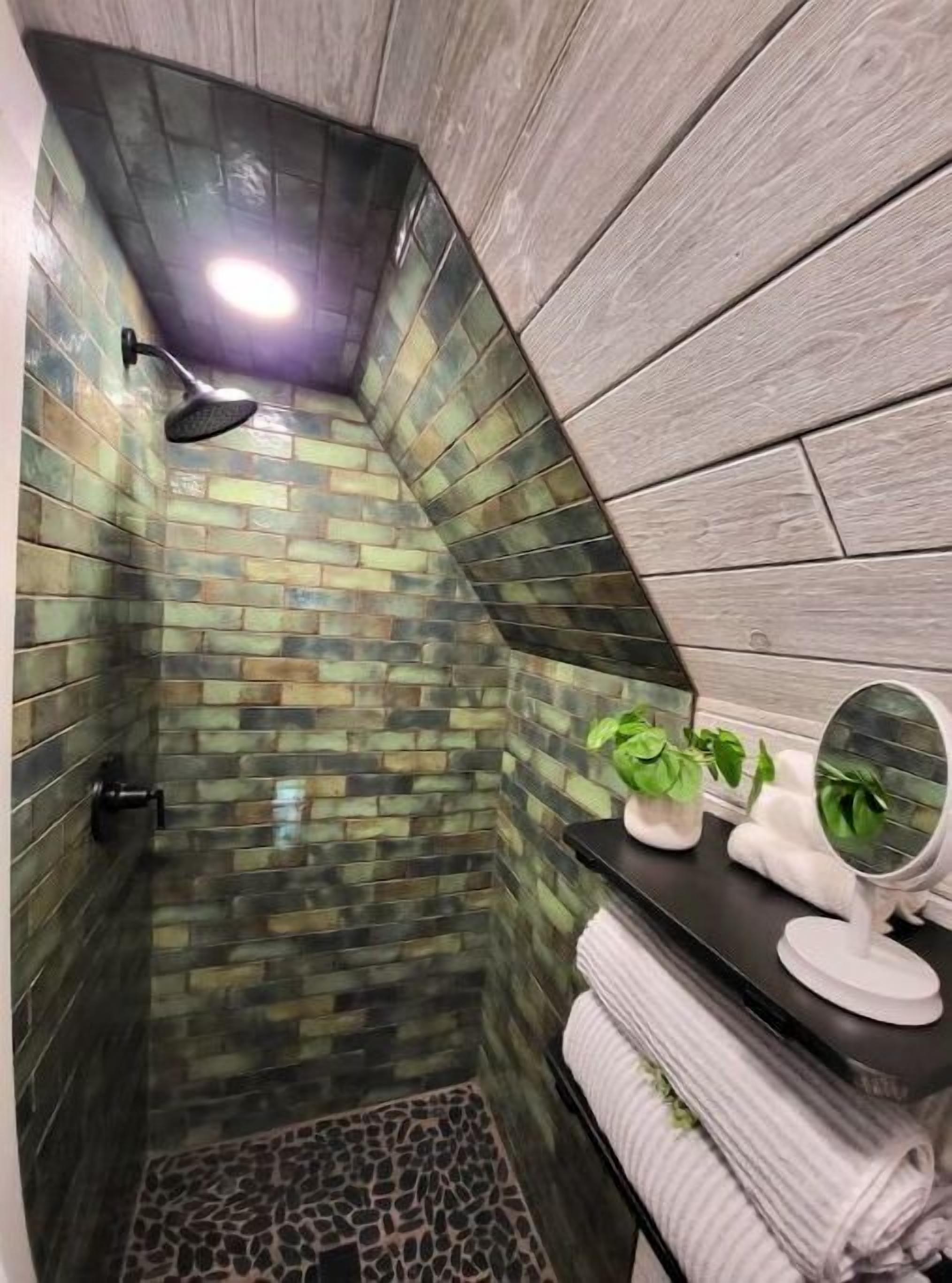 A shower with a rain showerhead, a small sink with a mirror, and a plant on the counter.