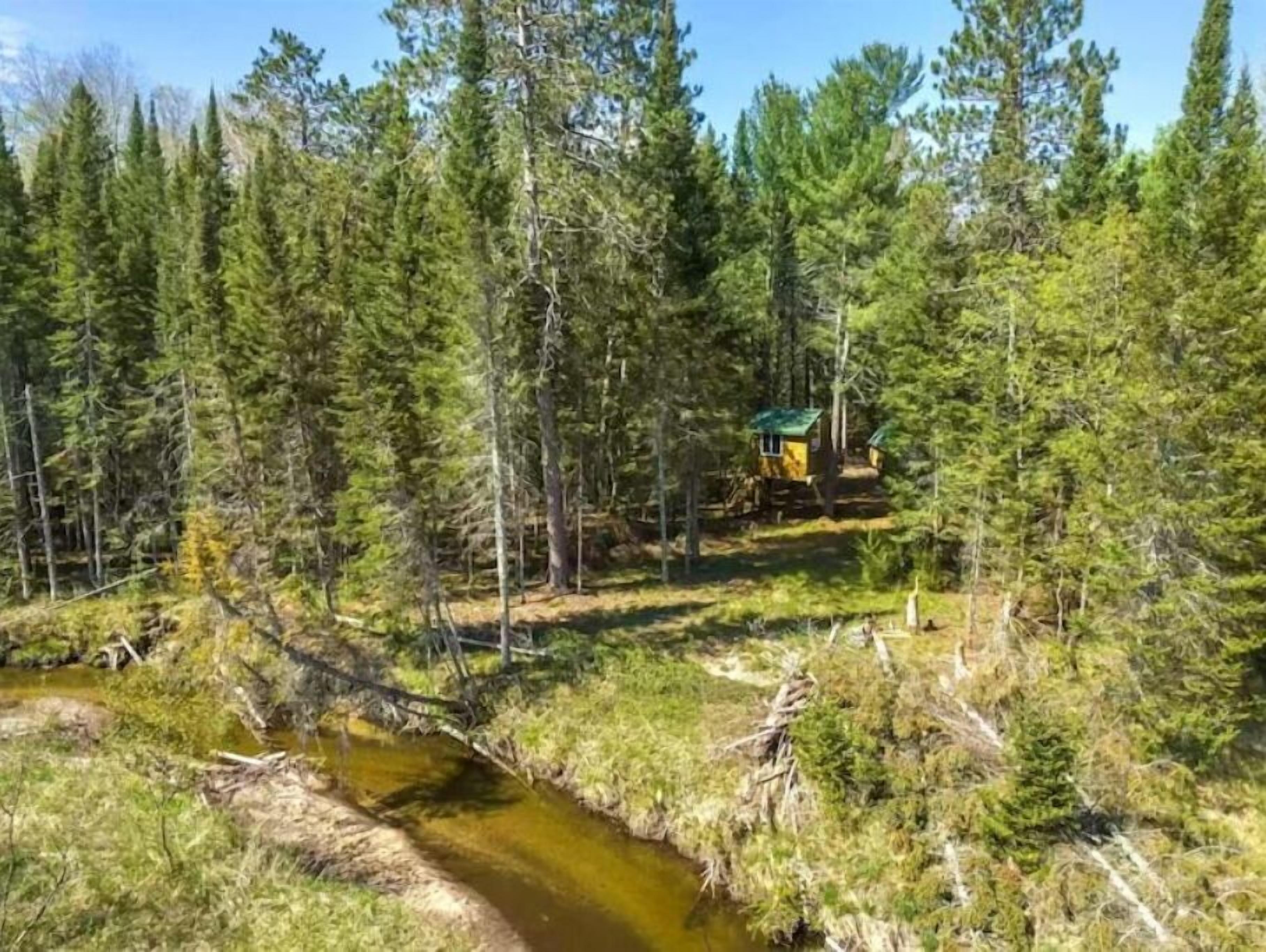 Une cabane dans une forêt, près d’un ruisseau.