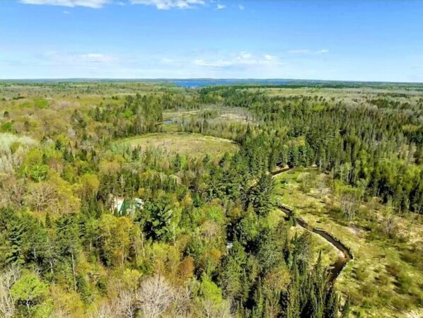 A forested landscape with a winding path and a small building in the center. - Eagles Nest A-frame: Riverfront Cabin: Add-on Treehouse Bedroom, Pet Friendly! (Indian River)