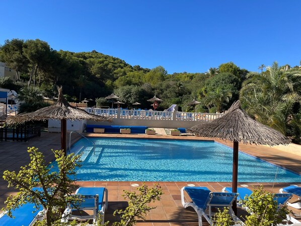 Relax by the resort pool surrounded by lounge chairs and lush greenery.