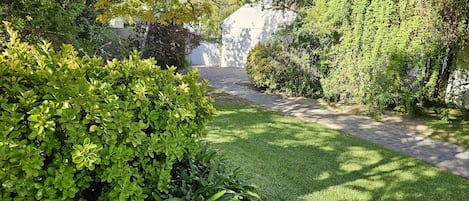 Taman