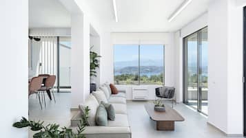 Smart TV, video games, DVD player, books