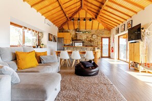 Smart TV, fireplace, books, printers