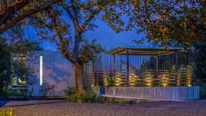 A modern building with a glass facade, a metal structure with a roof, and a tree in the foreground. - Kasita Nest is a prefabricated, smart home for romantic getaways. (Austin)