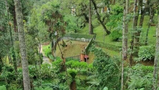 Kamar Double atau Twin | Pemandangan kota dari properti