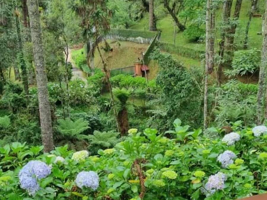 Double or Twin Room | City view from property