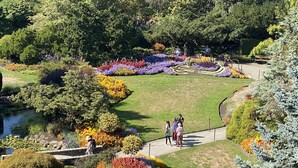 Ein Garten mit bunten Blumen, Bäumen, einem Weg und einem Teich.