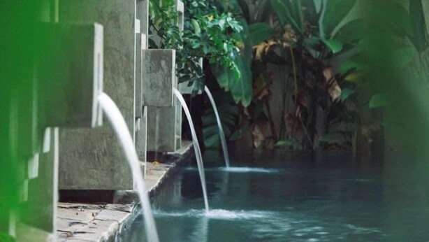 A serene indoor water feature with cascading water, surrounded by lush greenery and stone structures.