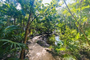 Áreas de la propiedad