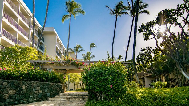 A hotel with a stone wall, palm trees, and a clear blue sky. - Kihei Akahi Garden View Studio (Kihei)