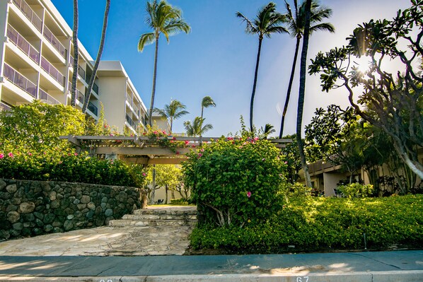 Property grounds - Kihei Akahi Garden View Studio (Kihei)