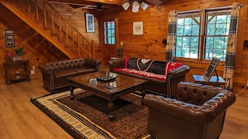 Smart TV, fireplace, books