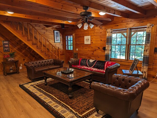 Smart TV, fireplace, books