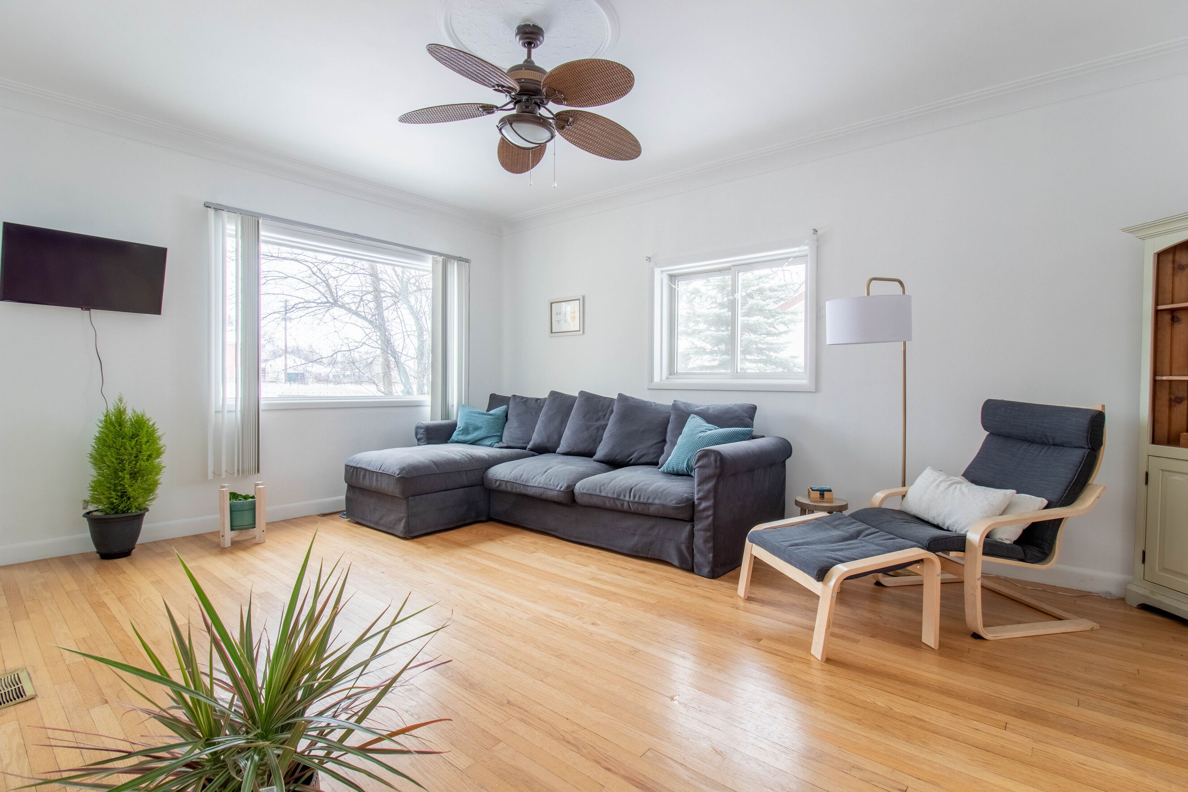 A modern living room with a sectional sofa, a wooden floor, a ceiling fan, and large windows.