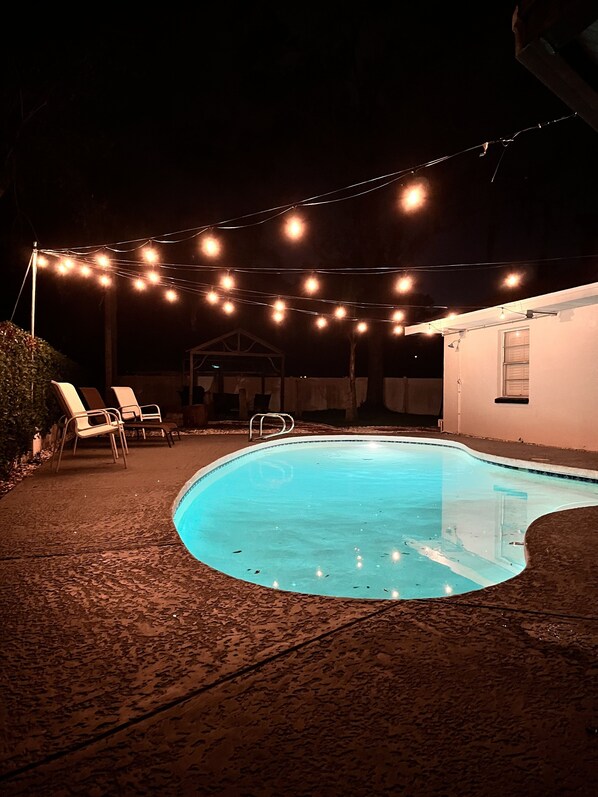 Pool - Beautiful and Cozy Apartment in Brandon, Tampa Florida (Brandon)