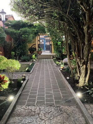 Property grounds - Primera Calle Norte Poniente (Comitan de Dominguez)