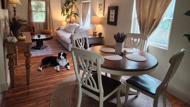 A cozy living room with a sofa, dining table, and chairs. A dog is lying on the floor.