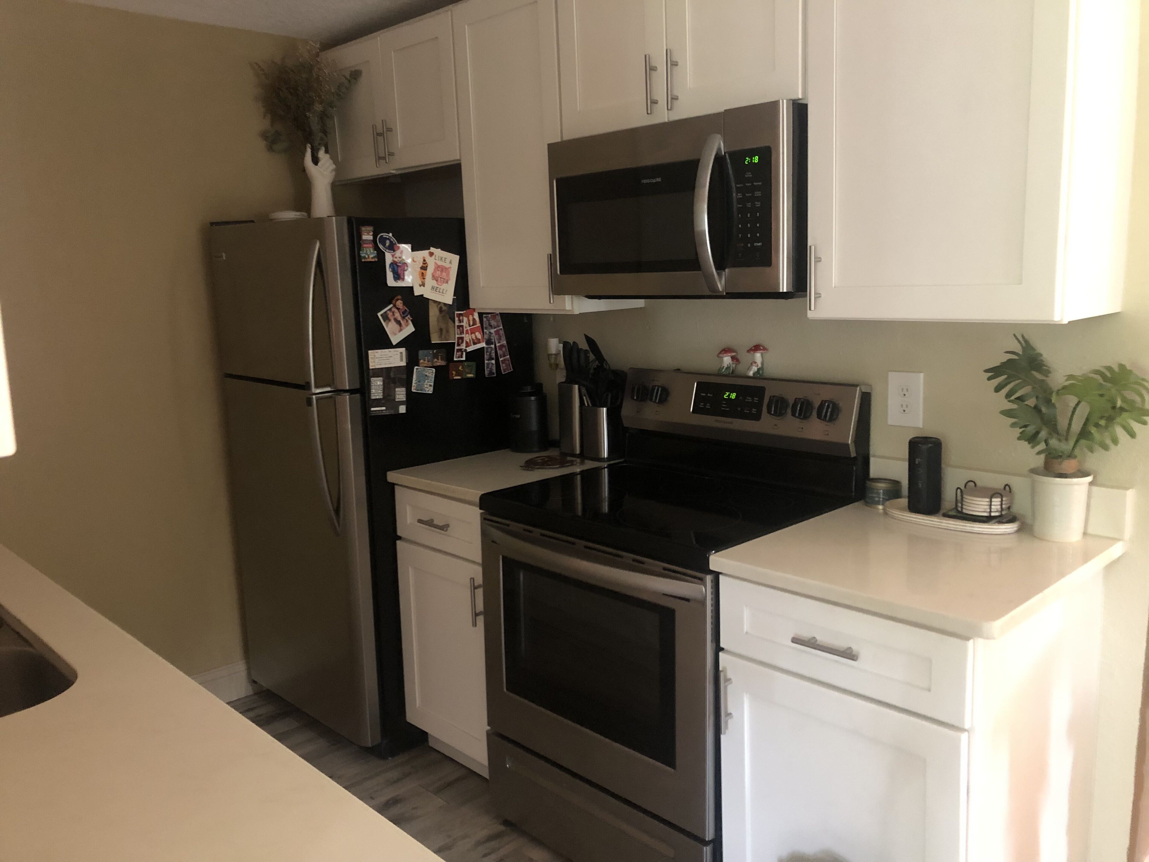 A modern kitchen with stainless steel appliances, white cabinetry, and a small potted plant.