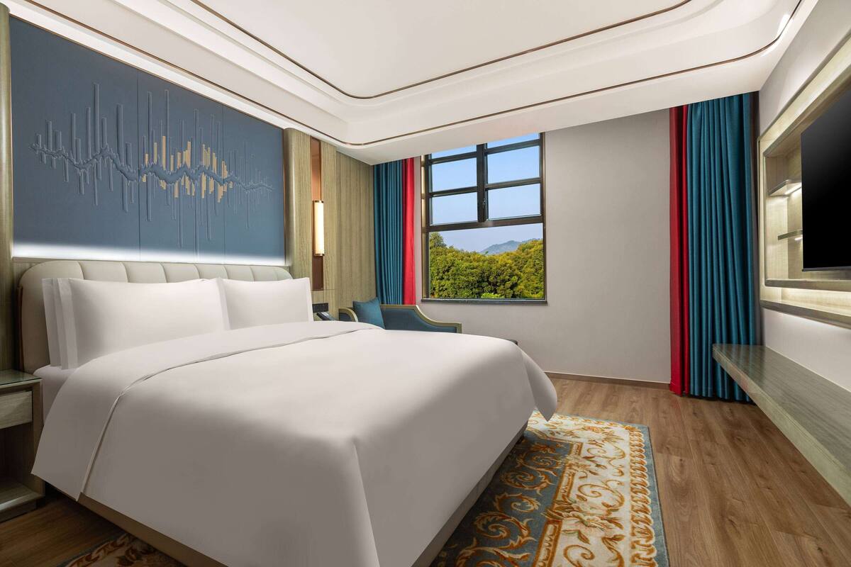 Quarto de hotel com uma cama grande, televisão, janela com vista para área verde e tapete estampado.