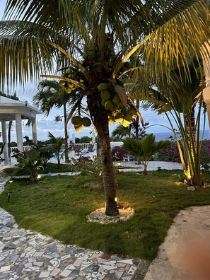 Property grounds - Adorable room with a pool, fire pit, gardens, and more- close to the beach! (Cabrera,)