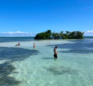 Sun-loungers, beach towels - Sunchasers Paradise - lux home, private pool/spa, 80' dock (Marathon)