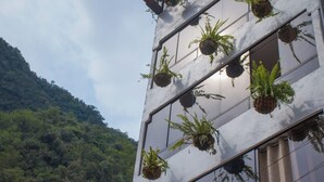 Um edifício com várias janelas, algumas delas com vasos suspensos e folhagem.