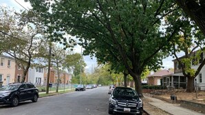 Eine Wohnstraße mit parkenden Autos und Häusern an beiden Seiten.