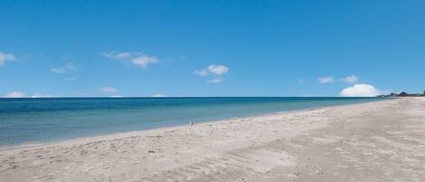 En la playa, camastros y toallas de playa 