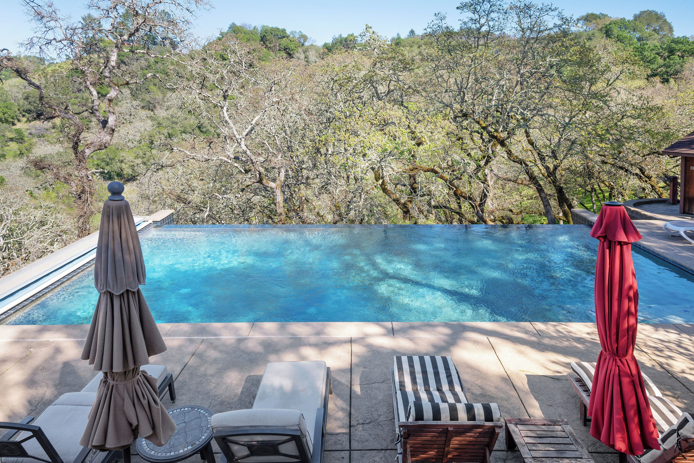A swimming pool with lounge chairs and umbrellas, surrounded by trees.