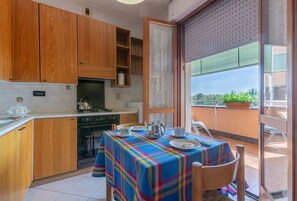 Oven, stovetop, cookware/dishes/utensils