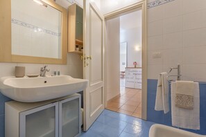 Shower, hair dryer, bidet, towels