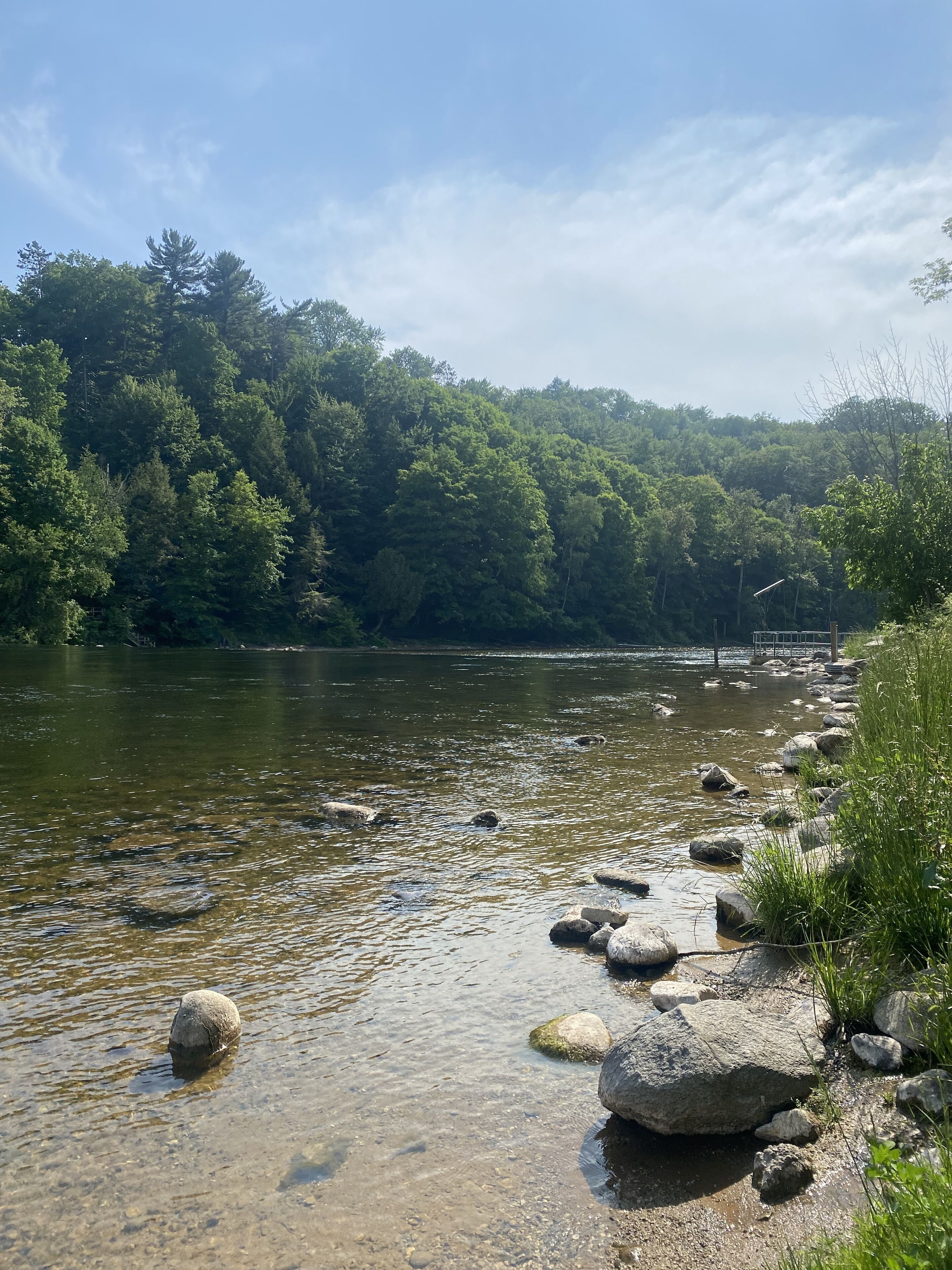 A river with clear water, surrounded by rocks and greenery.