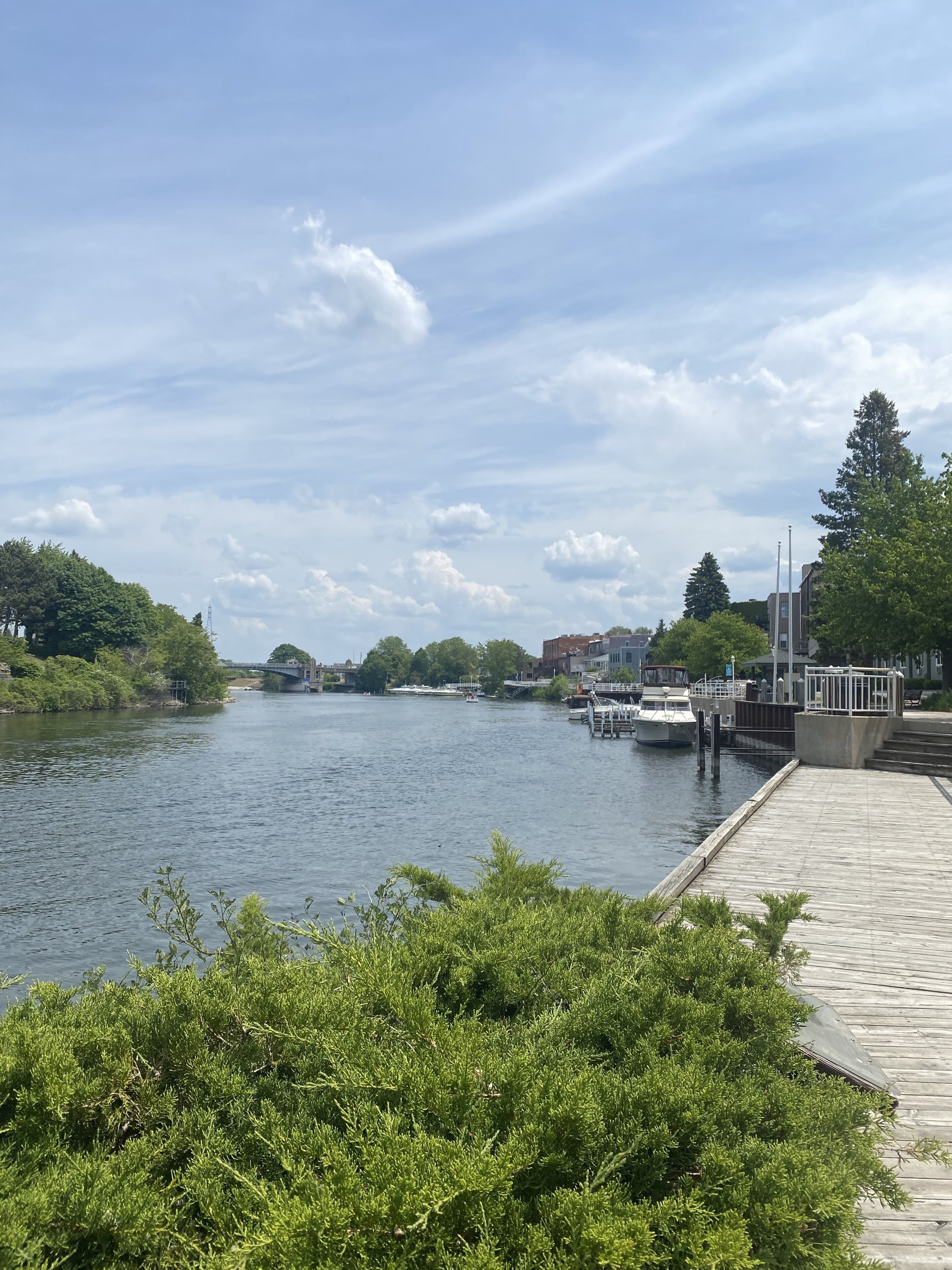 A riverside view with a wooden dock, boats, and buildings in the background.