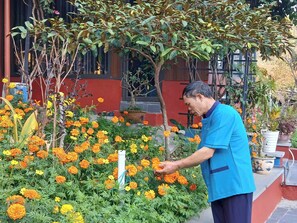 Exterior - Catba Papillon Garden Bungalow & Resort (Hai Phong)