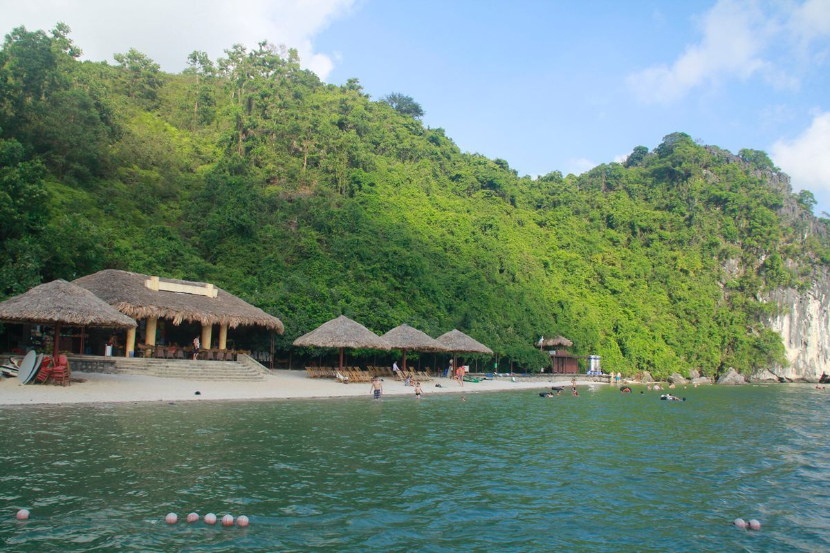 A beach with thatched-roof huts, a sandy shore, and a forested hillside.
